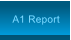 A1 Report A1 Report
