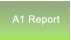 A1 Report A1 Report