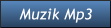 Muzik Mp3 Muzik Mp3