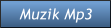 Muzik Mp3